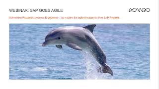 Agile SAP Projekte | Webinar