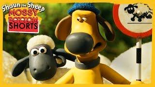 Stand Off - Shaun the Sheep [Full Episode]