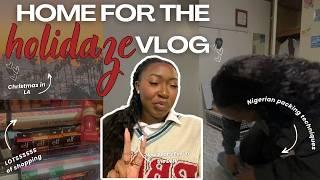 home for the holidays travel vlog | travel from tokyo to los angeles to Maryland | Black in Japan