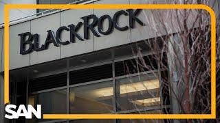 BlackRock changes stance on DEI; joins Bank of America, Paramount in rollback