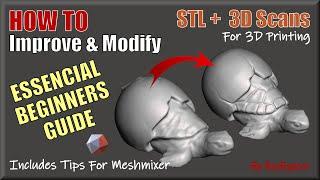 Essential Guide To Start Editing Your STL & 3D SCAN Models  For 3D Printing