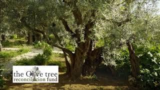 The Olive Tree 141 – David Loden