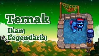 Cara Beternak Ikan Legendaris Di Stardew Valley 1.6