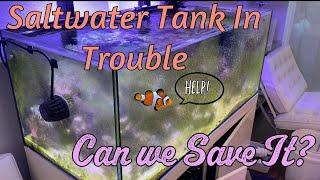 Fish Tank Troubles