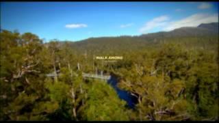 Tahune Airwalk, Attraction in Huon Valley, near Hobart