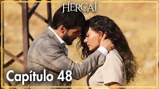 Hercai - Capítulo 48