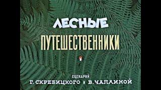 Лесные путешественники (Союзмультфильм, 1951 год)