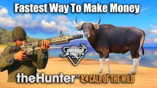 Fastest Way To Make Money - theHunter Call Of The Wild