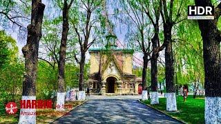 [4K HDR] Harbin Walking Tour | So many amazing historical architectures | 哈尔滨街景 美妙的历史建筑