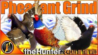 It's RAINING Diamonds! | The Pheasant Grind is ON! | theHunter Call of the Wild