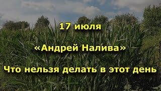 Народный праздник «Андрей Налива». 17 июля. Что нельзя делать.