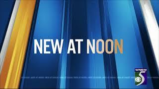 WNEM TV5 news at noon