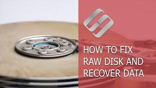 How to Fix a RAW Disk and Recover Data from an HDD with RAW Partitions in 2021️️