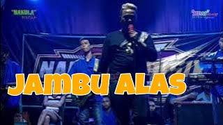 Jambu Alas Bersama Widiya Nakula musik