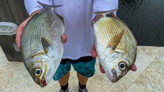 2 Fish NOBODY Eats! Catch Clean Cook- TRASH Fish Taste test- (Bermuda Chub+ Spot tail Pinfish)