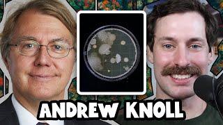 The Diversity of Microbial Life on Earth | Andrew Knoll