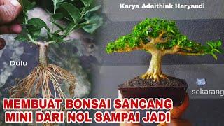 Proses membuat bonsai sancang dari NOL sampai JADI Karya Adeithink Heryandi