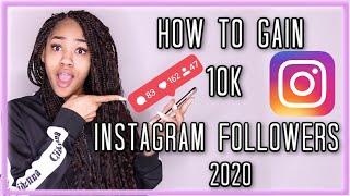 How I Gain 10K Instagram Followers FAST in 2020 (Grow from 0 to 10,000 followers FAST!)