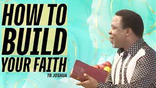 HOW TO BUILD YOUR FAITH TB JOSHUA