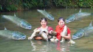 Harvesting Many Big Fish Goes To Market Sell, Before The Flood Season Comes | Daily Farm