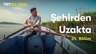 Şehirden Uzakta | Bursa - Eskikaraağaç | TRT Belgesel