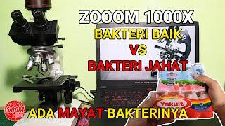 ZOOM 1000X  BAKTERI BAIK  YAKULT VS BAKTERI JAHAT AIR GOT