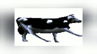 Dancing Polish Cow-What is Glo