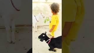 #shorts#cutebaby #sweetbaby #cute #kanak #ranchi #shorts #video