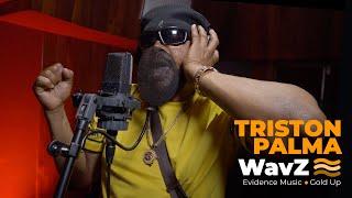 Triston Palma & Irie Ites - Never Get Weary | WavZ Session [Evidence Music & Gold Up]