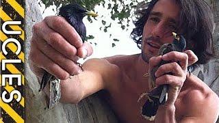 Catching Birds using a Rat with Andrew Ucles & Laura Zerra