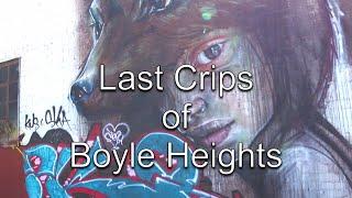 Gang Lands # 9 The Last Crips of Boyle Heights