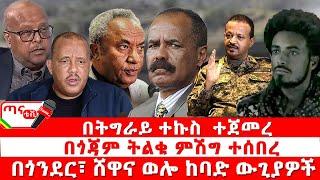 ጣና ዜና፦ መጋቢት 2/2017 በትግራይ ተኩስ  ተጀመረ| በጎጃም ትልቁ ምሽግ ተሰበረ| በጎንደር፣ ሸዋና ወሎ ከባድ ውጊያዎች