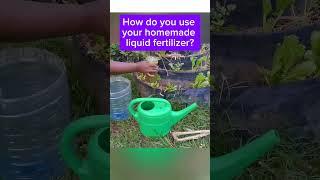 Homemade Liquid fertilizer #herbs #gardeningtipstricks