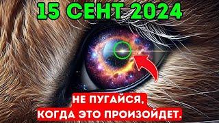 5изменений в вашей внешности до 15 сентября, которые указывают на пробуждение и омоложение как  льва