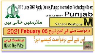 Latest Jobs in Lahore 2021| PITB Jobs 2021 Apply Online| Govt Jobs in Lahore 2021| Jobs info 365