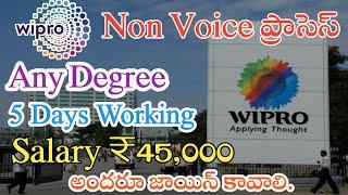 Wipro Recruitment 2024 | Any Degree | Jobs for Freshers | Jobs in Hyderabad | M Tube Jobs