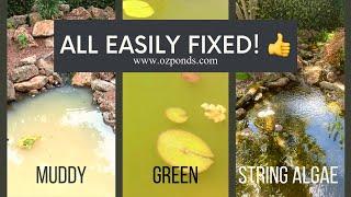 3 common pond problems and how to fix them