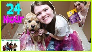 24 Hours In Box Fort Dog Mansion / That YouTub3 Family