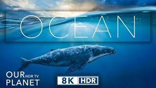 8k HDR Ocean Life