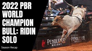 2022 PBR World Champion Bull: Ridin Solo Top Highlights