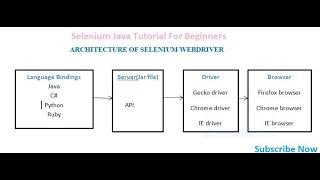 Selenium - Architecture of Web Driver OR  What is Selenium WebDriver Architecture?