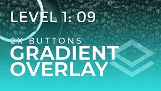 Let’s build Brizy L1-09 | Gradient & Multi Buttons [L1: Total Beginners]