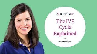 The IVF Cycle Explained | Dr. Lauren Murphy