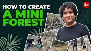 Unveiling the Green Magic | Rohit Mehra | IRS Officer | Plantation Drive | Green Man of India