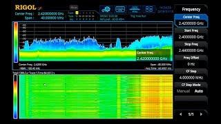 Spectrum Monitoring with a Real-Time Spectrum Analyzer