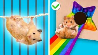 Geheimes Hamster-Haus  Unter dem Gefängnisbett! || Geheimraum für Haustiere! DIY-Hacks von Gotcha!