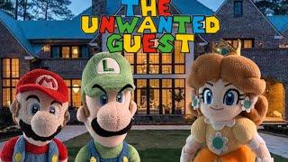 ChaosMarioBros: The unwanted guest!