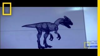 T. Rex Granddaddy | National Geographic