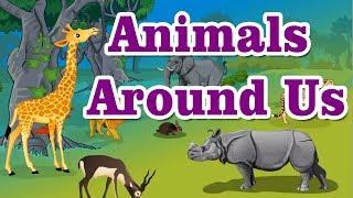 The Animals Around Us