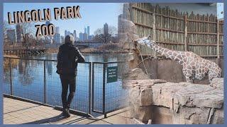 Chicago Zoo | Lincoln Park Zoo